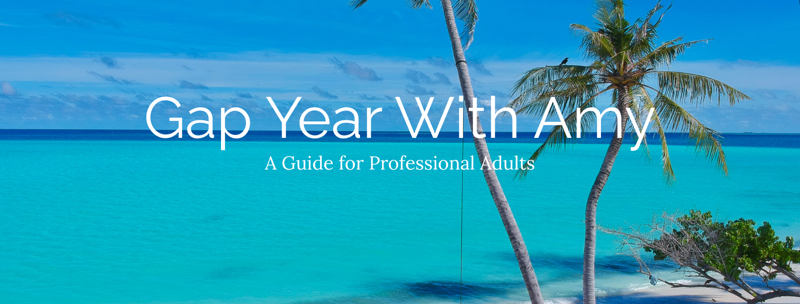 Gap Year With Amy